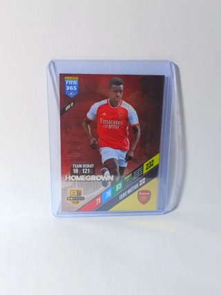 Cromo Panini FIFA 365 2024 gomegrown