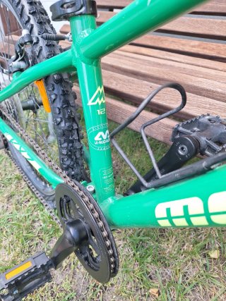 Bicicleta infantil verde