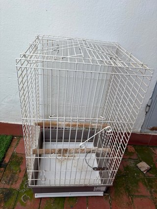 Jaula para loro