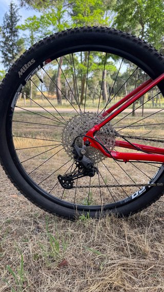 BH Spike 29 Bicicleta Montaña Roja