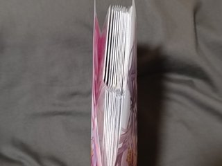 Álbum cartas anime chicas