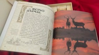 Tarot Celta de los árboles