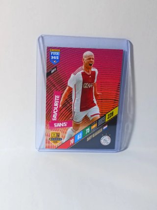 Cromo Panini FIFA 365 favoutite fans