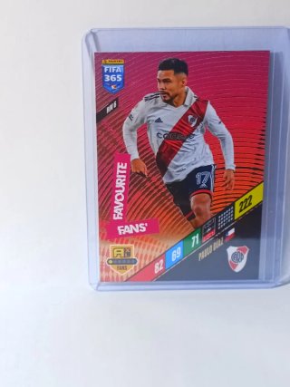 Cromo Panini Fifa 365 24