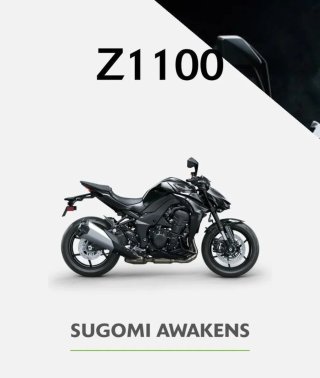 2026 VER DESCRIPCIÓN OFERTA KAWASAKI Z1100/SE