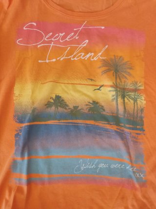 Camiseta naranja "Secret Island" Yessica (C&A)