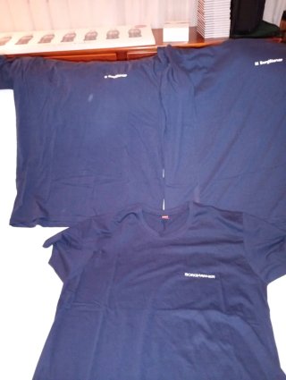 Lote 3 Camisetas BorgWarner Azul