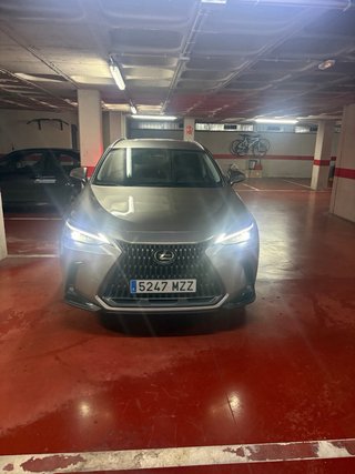 Lexus NX 2025