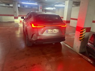 Lexus NX 2025
