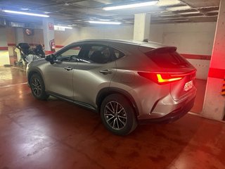 Lexus NX 2025