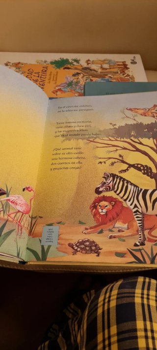 Lote 5 Libros Infantiles Ilustrados +Póster 3D