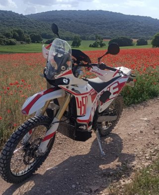 Kove 450 Rally 2025 Low
