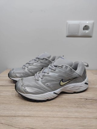 Vintage '01 Nike Pegasus silver 43