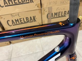FELT AR Human Powered Health – Nuevo