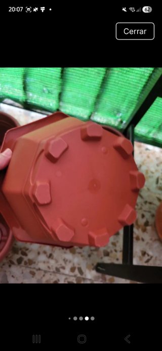 Lote de macetas de plástico