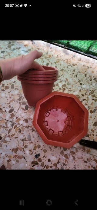 Lote de macetas de plástico