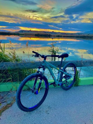 Bici de wheelie