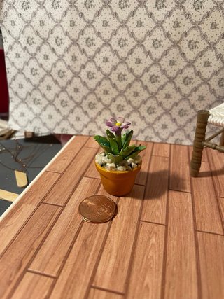 Pianta con sassi per dollshouse