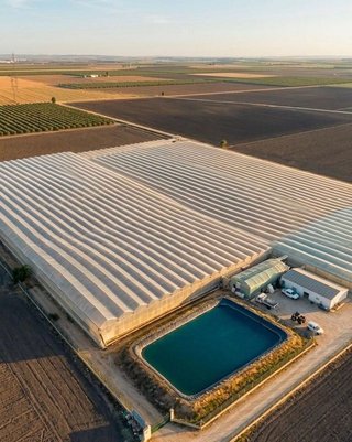 Terreno en venta en Utrera