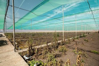 Terreno en venta en Utrera