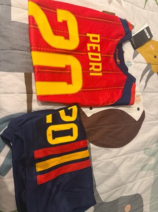 Conjunto España Pedri 20