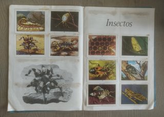 Ciencias Naturales 1 Álbum Cromos