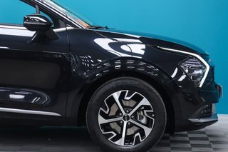 Kia Sportage 1.6 T-GDi HEV 171kW (230CV) Tech 4x2