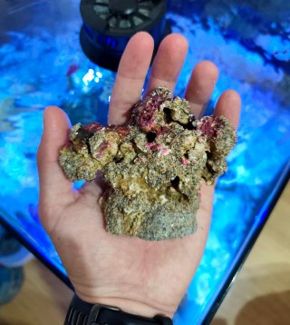 Coralero/Roca Magnética Decoración Acuario Marino