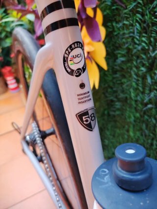 Specialized Roubaix Talla 58