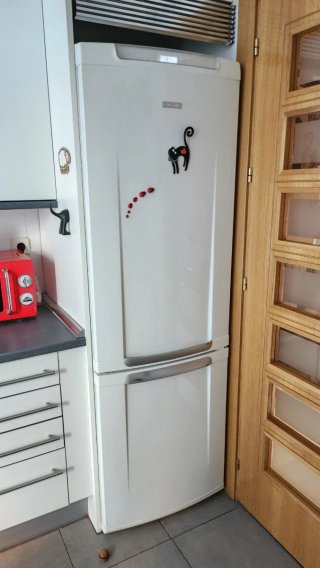 Frigorífico Combi Electrolux