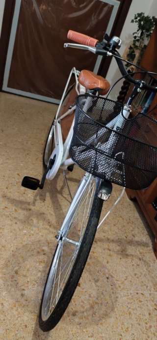 Bicicletta unisex con cestino