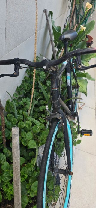 Bicicleta Fixie Negra Ruedas Azules