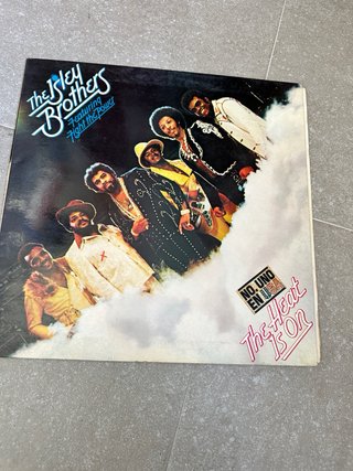 Lote Discos de Vinilo