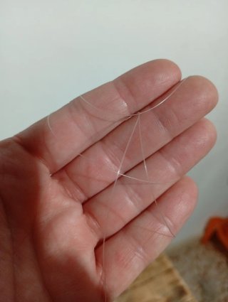Hilo de monofilamento
