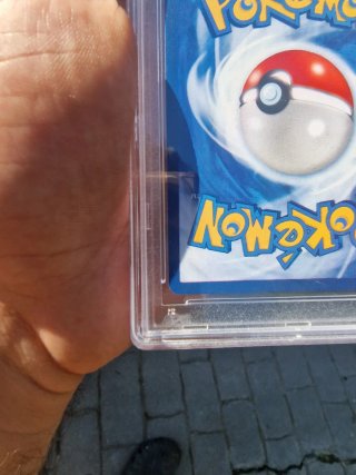 Mew ex Carta Pokémon 2024 PSA 10