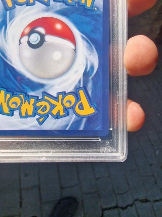 Mew ex Carta Pokémon 2024 PSA 10
