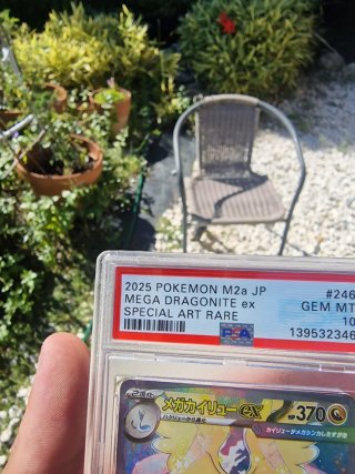Carta Pokémon Mega Dragonite EX 246/193 SAR