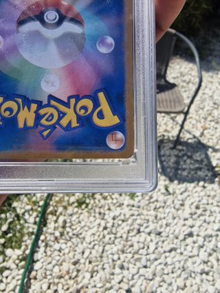 Carta Pokémon Mega Dragonite EX 246/193 SAR