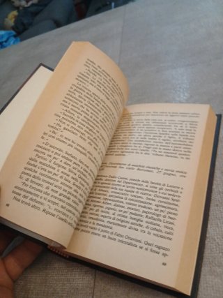 Palladion Valerio Massimo Manfredi Libro