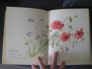 DIARIO EDITH HOLDEN EDICIÓN 4 AÑO 1977 INGLÉS