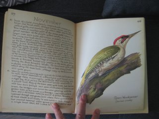 DIARIO EDITH HOLDEN EDICIÓN 4 AÑO 1977 INGLÉS