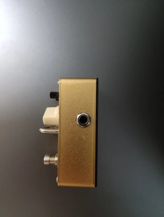 Monkey Loop ML-DD1 Digital Delay
