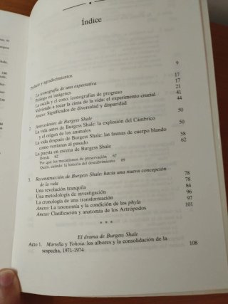 La Vida Maravillosa