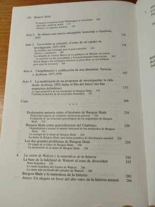 La Vida Maravillosa