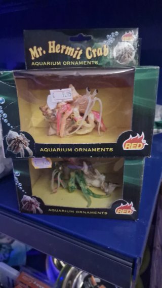 Todo Para Peces