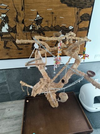 Jaula Voladera y Árbol de Juegos para Loros