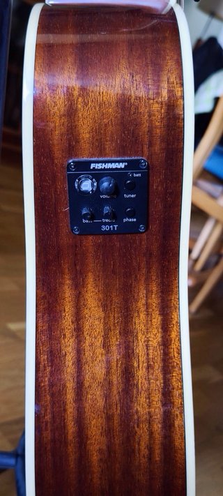 Guitarra Electroacústica Washburn WS10SCE