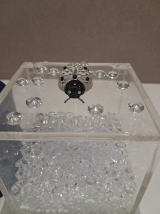 Coccinella Swarovski Scatola Cristalli