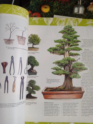 2 Manual de jardinería, y Las plantas y Jardines.