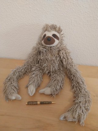 Peluche Perro Ikea y Perezoso